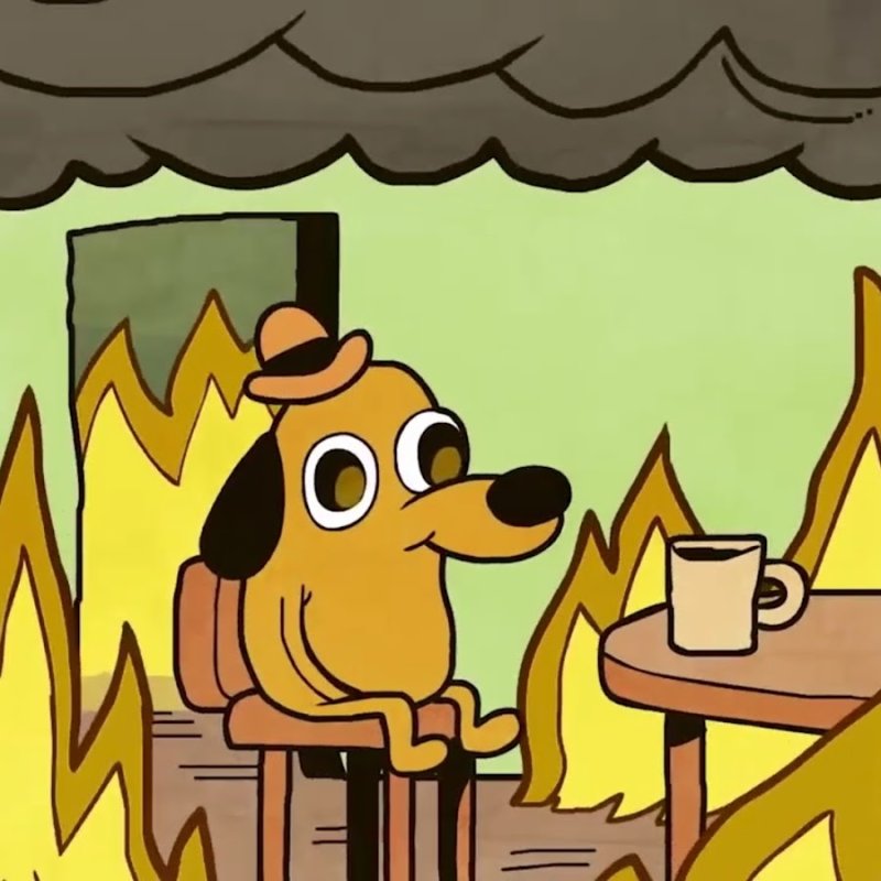 Собака в огне Мем