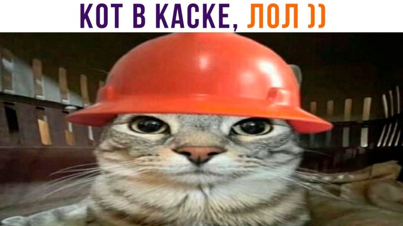 Каска прикол
