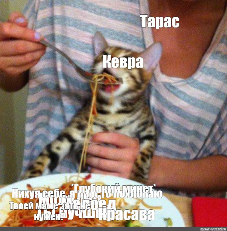 Кота кормят с ложки Мем