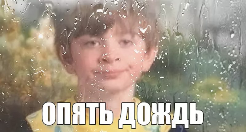 Опять дожди