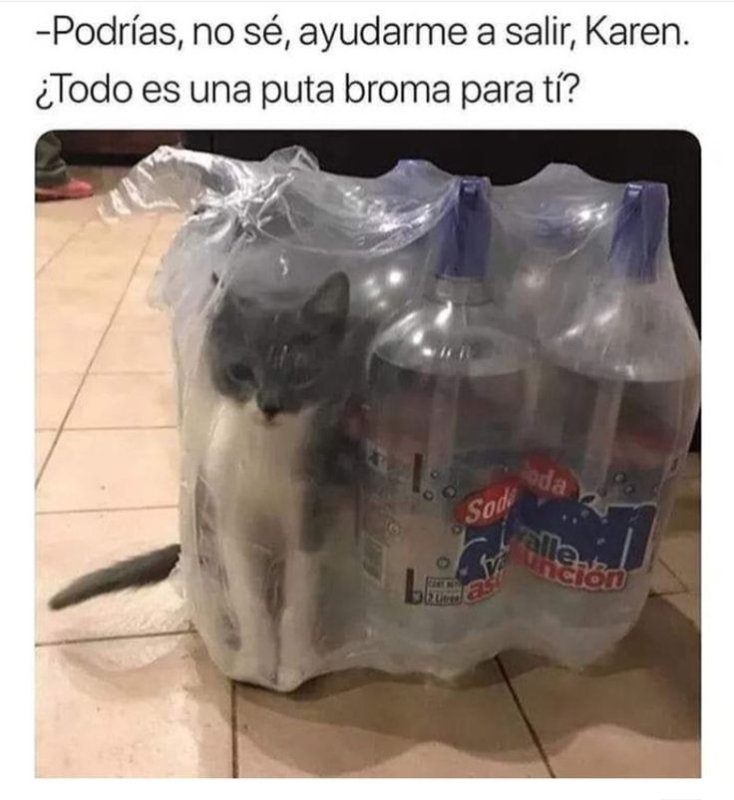 Пластмассовый мир победил Мем