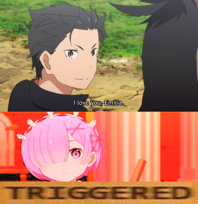 Субару Ре Зеро Мем