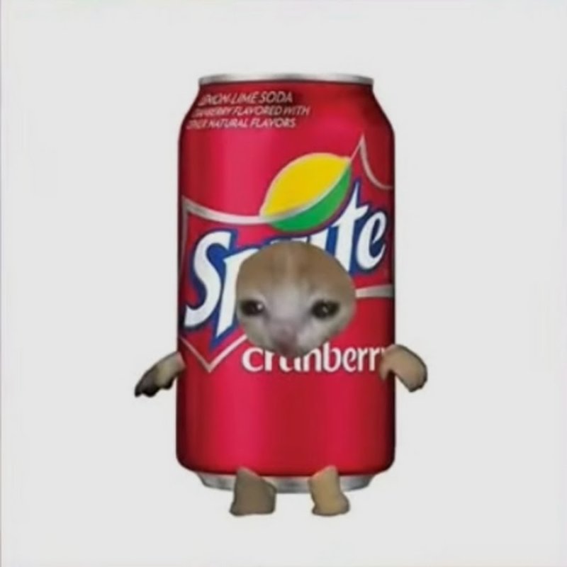 Аватарка кот в банке колы