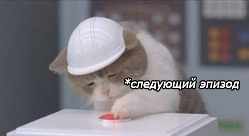 Грустный котик в каске