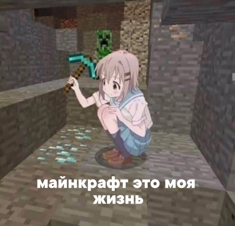 Мемы про майнкрафт