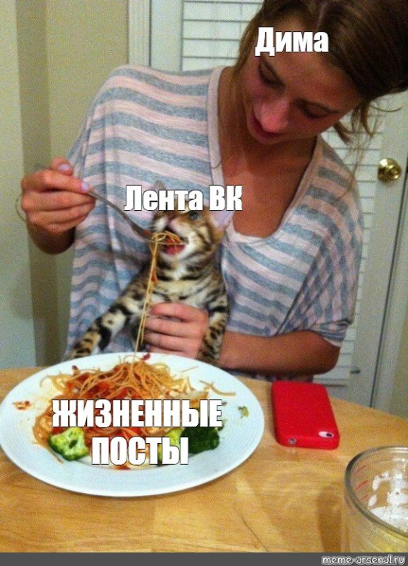 Кота кормят спагетти