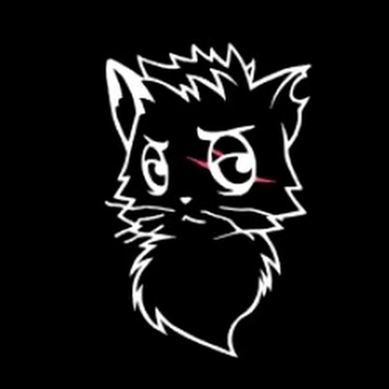 Чёрный кот ЮТУБЕР