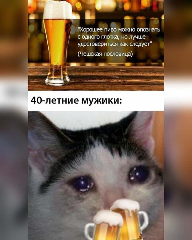 Пиво мемы смешно