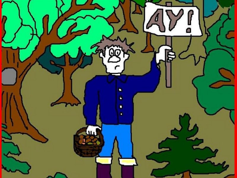 Смешной заблудившийся в лесу