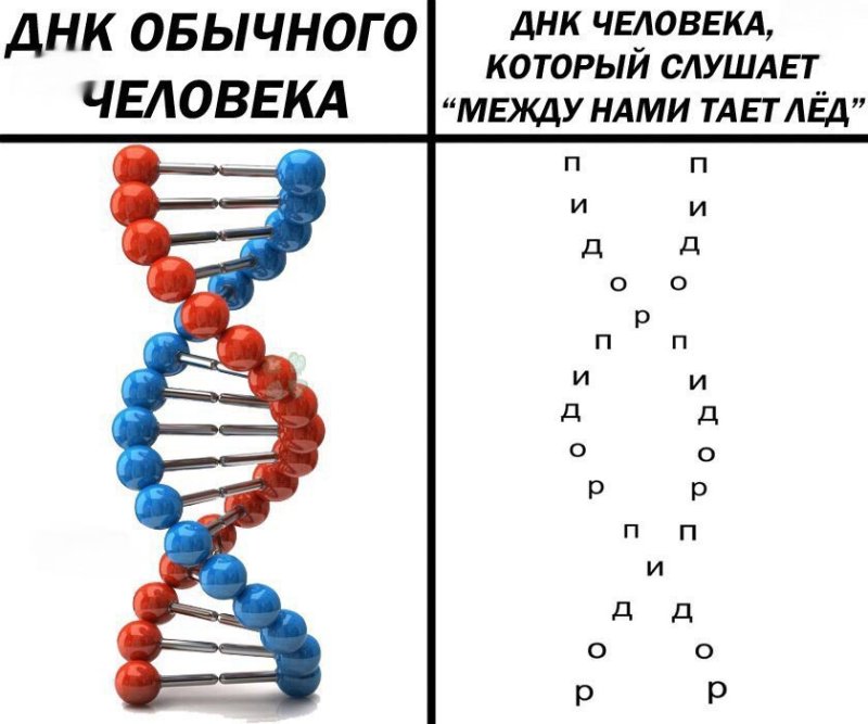 Схожесть ДНК человека