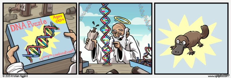 Приколы про генетику