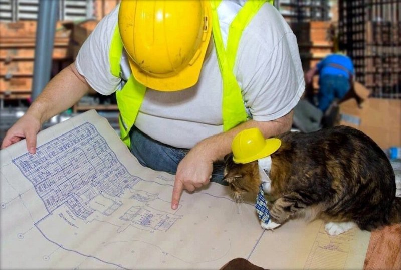 Инженер смешное фото