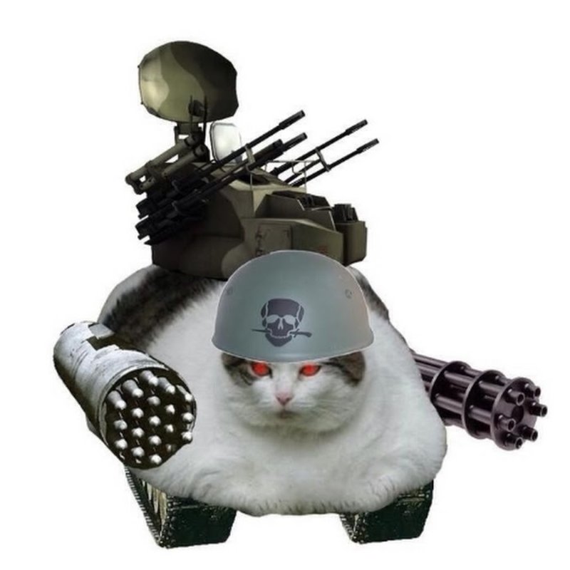 Кот в танке