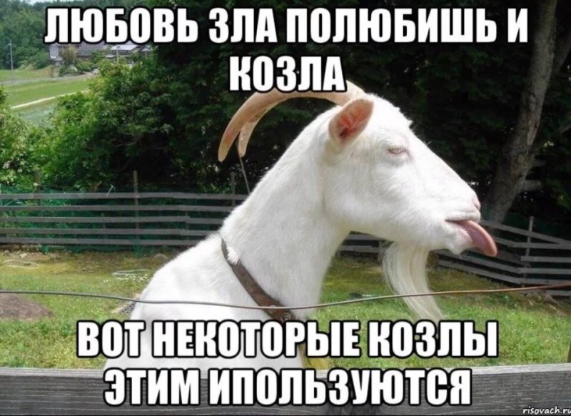 Парень козёл