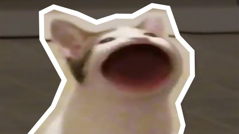 Кот с открытым ртом Мем