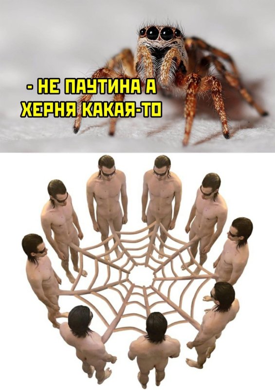 Паутина прикол
