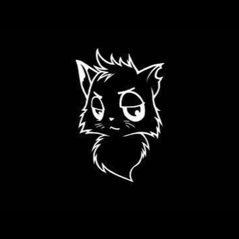 Чёрный кот канал