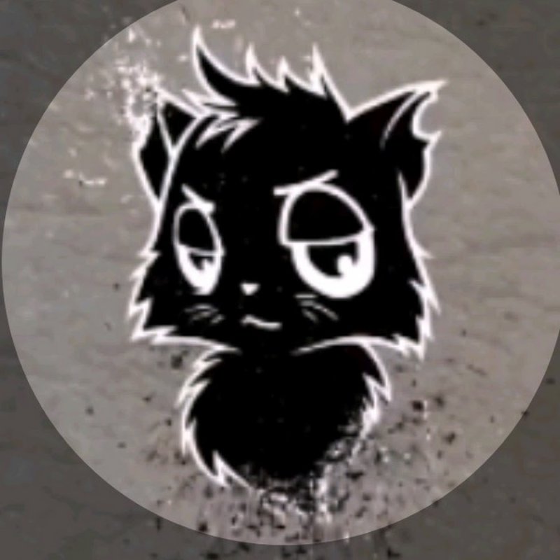 Коты ЮТУБЕРЫ