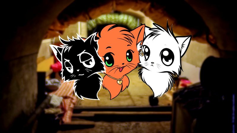 Коты ЮТУБЕРЫ рыжая