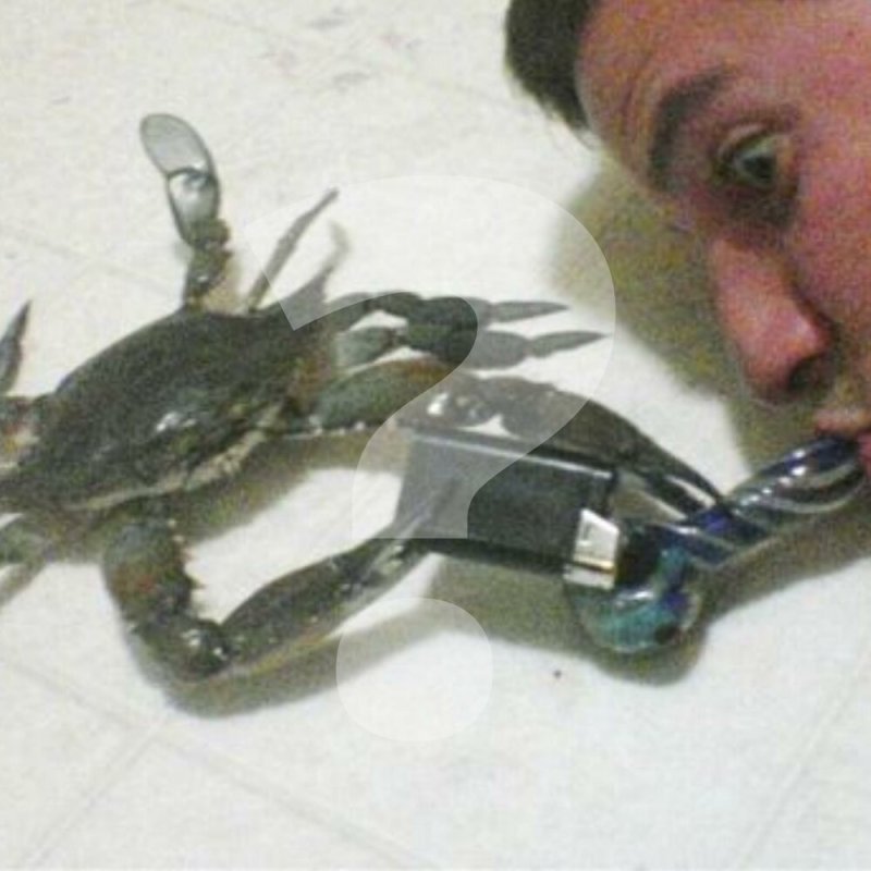 Клешни краба