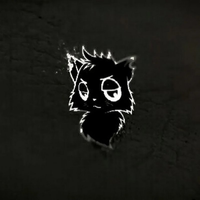 Коты ЮТУБЕРЫ