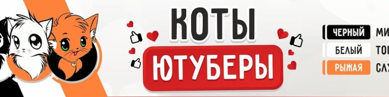 Коты ЮТУБЕРЫ рыжая