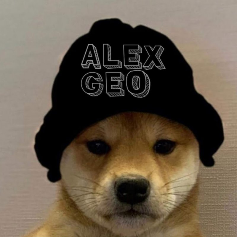 Псина в шапке