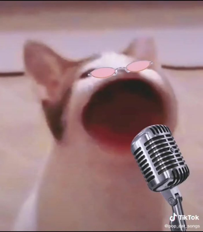 Кот из мема с открытым ртом