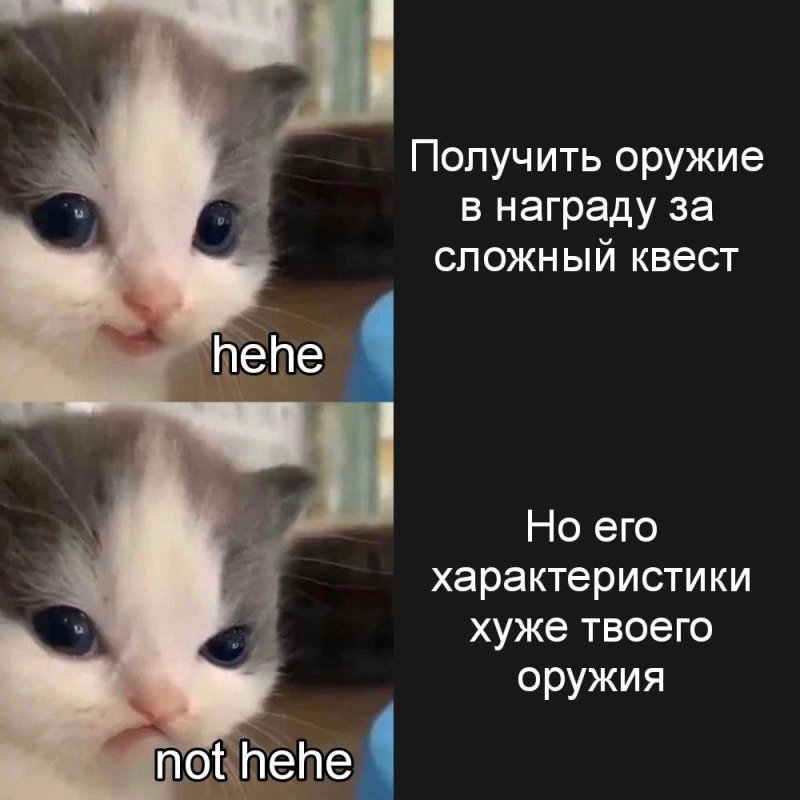 Котенок хехе