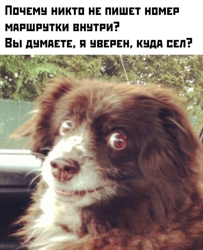 Мем заводи, заводи это дерьмо