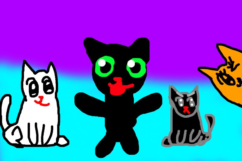 Коты ЮТУБЕРЫ