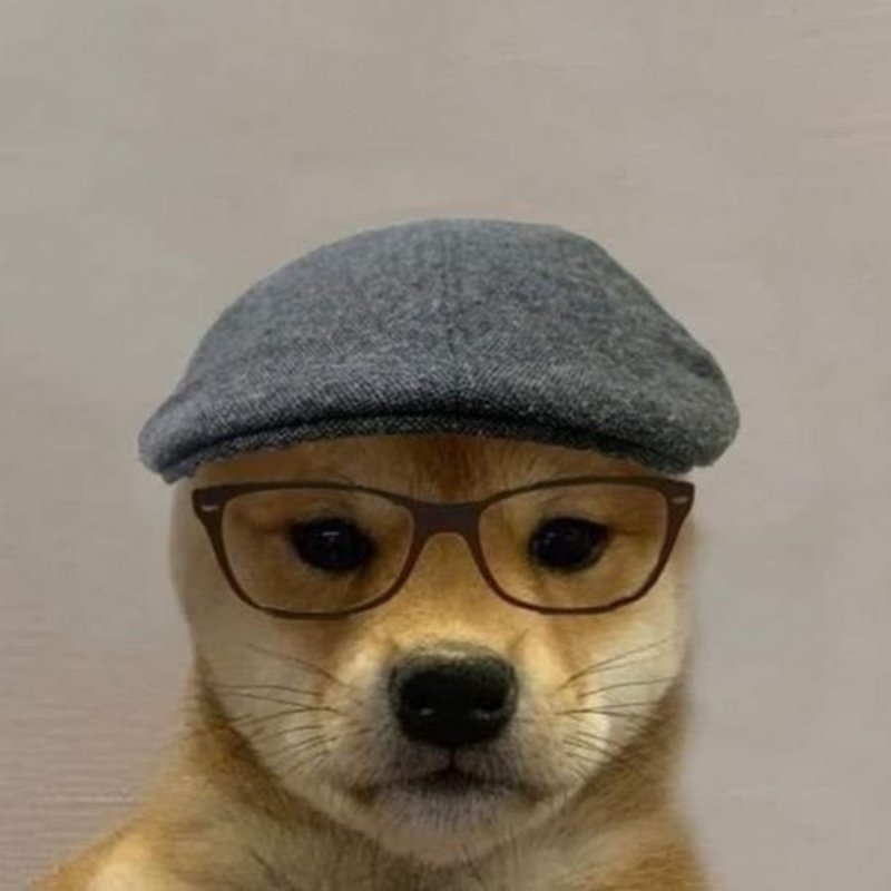 Собака в шапке Мем