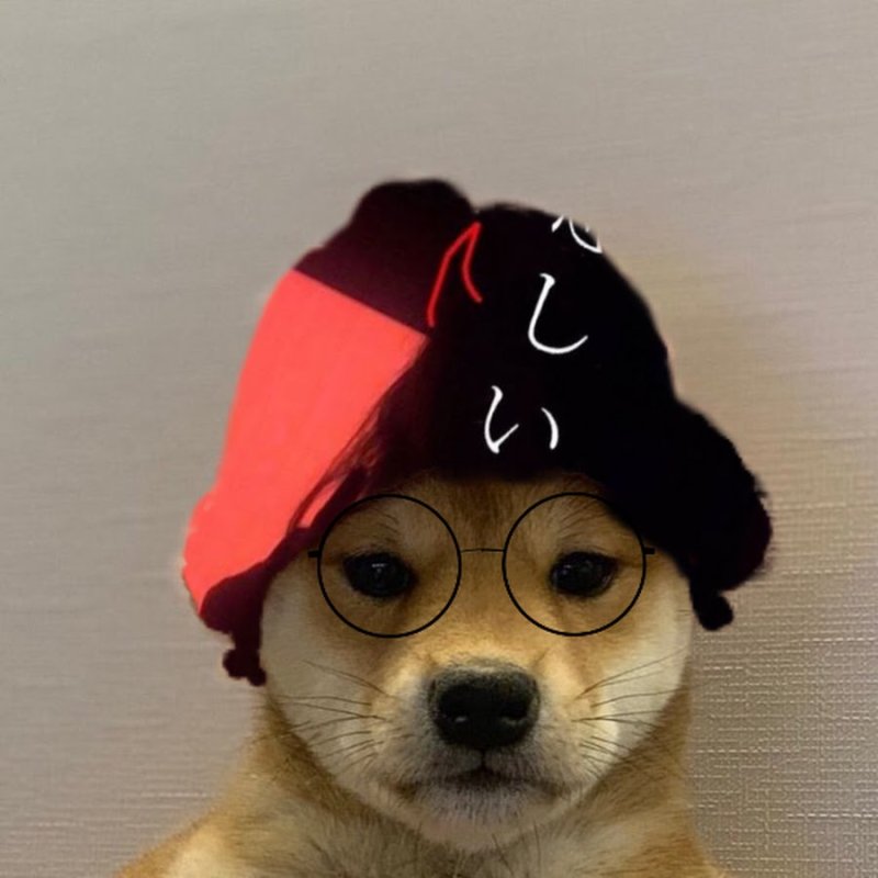 Собака в новогодней шапке Мем