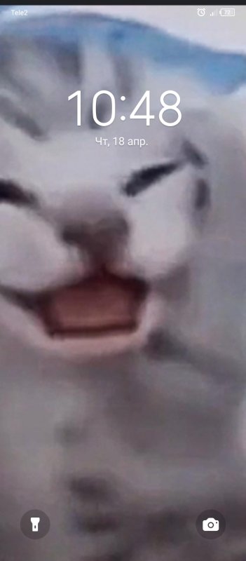 Кот держится за голову и орёт Мем