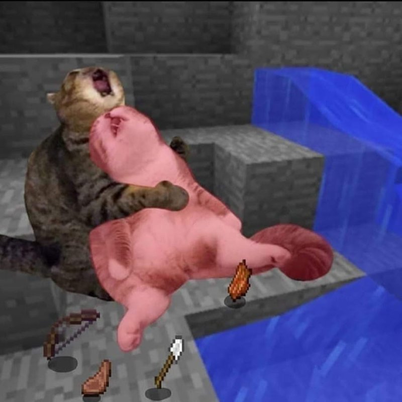 Кот майнкрафт Мем