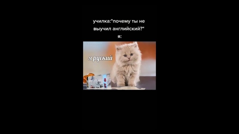 Я русский котенок