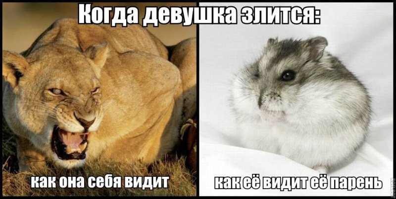 Девушка злится