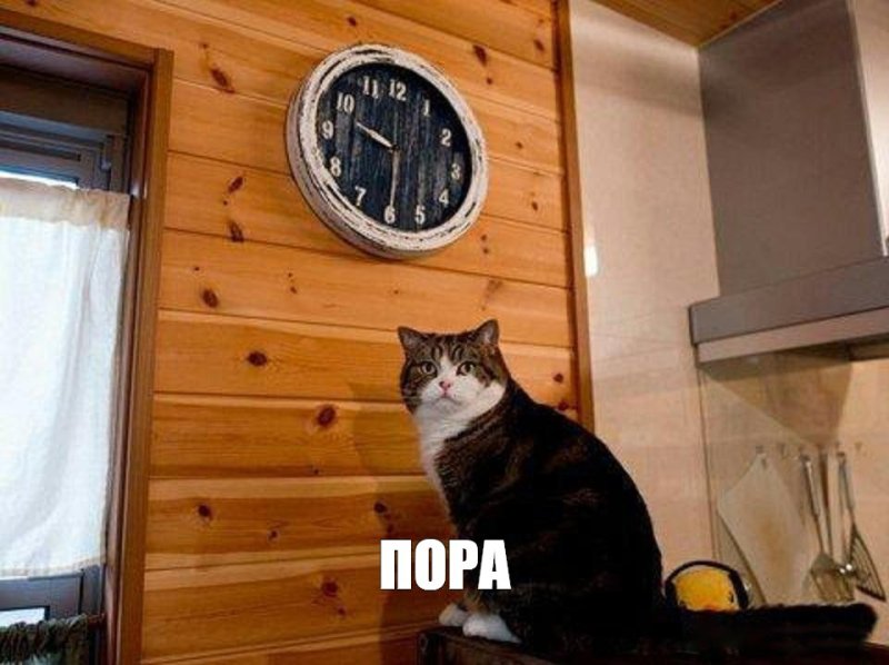 Кот кажется я опоздал
