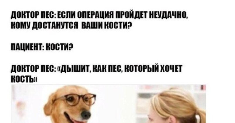 Доктор пес Мем