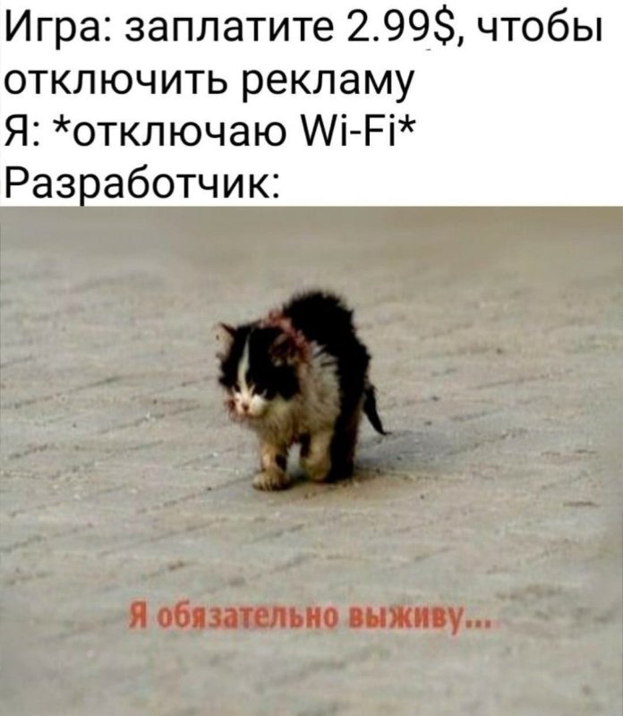 Я обязательно выживу котенок