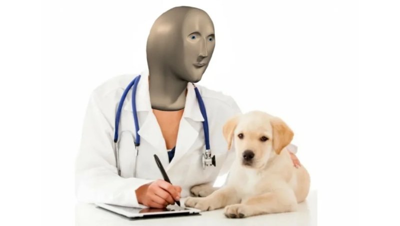 Собака медик