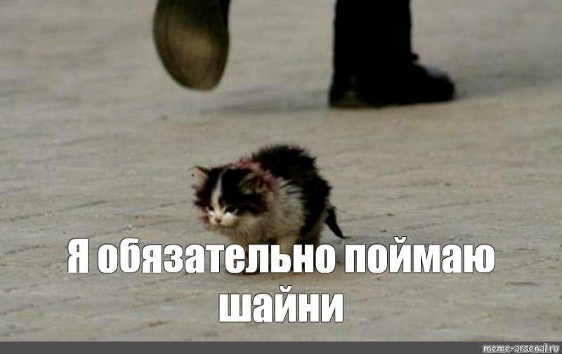 Я обязательно выживу котенок