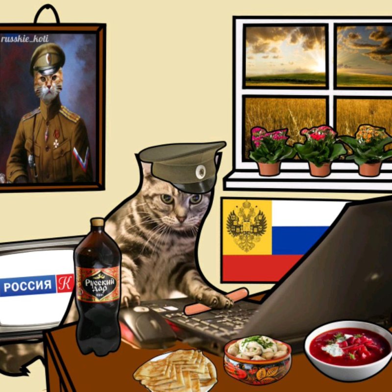 Шлёпа русский кот военный
