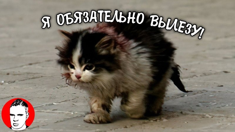 Я выживу обязательно выживу