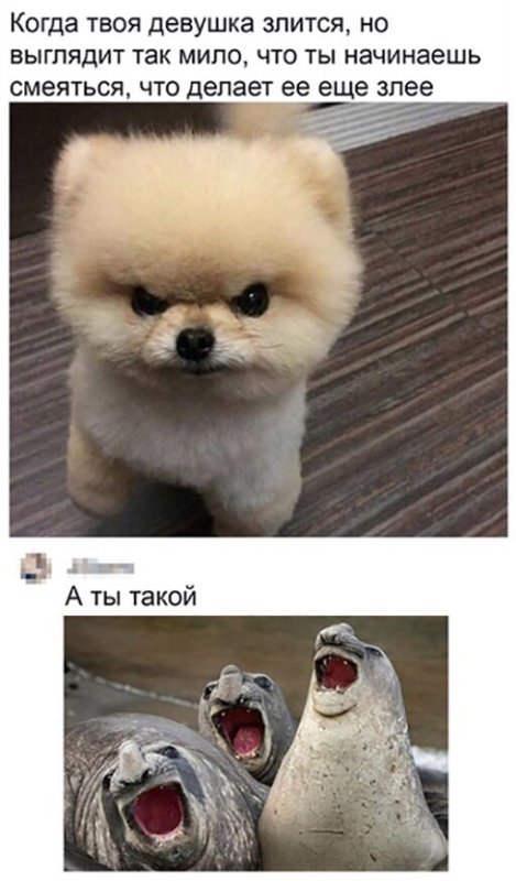 Как выглядит девушка когда злится