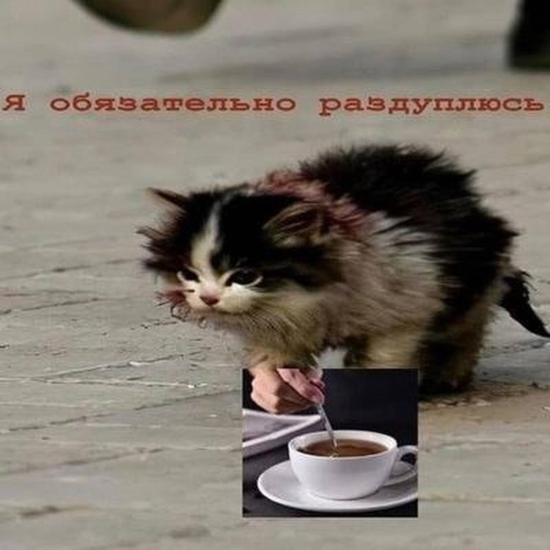 Картинка я обязательно выживу