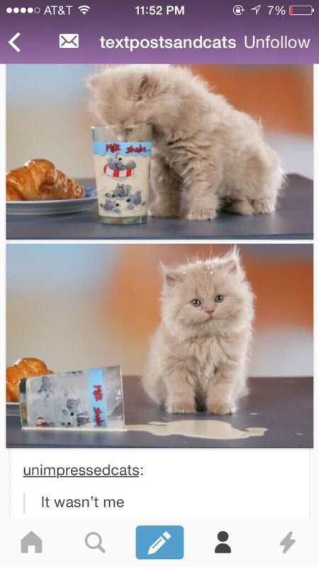 Русский котенок Мем