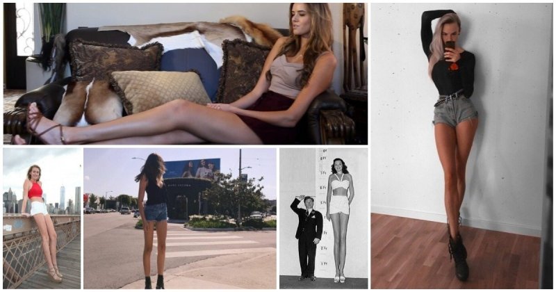 Длинные и короткие ноги у девушек