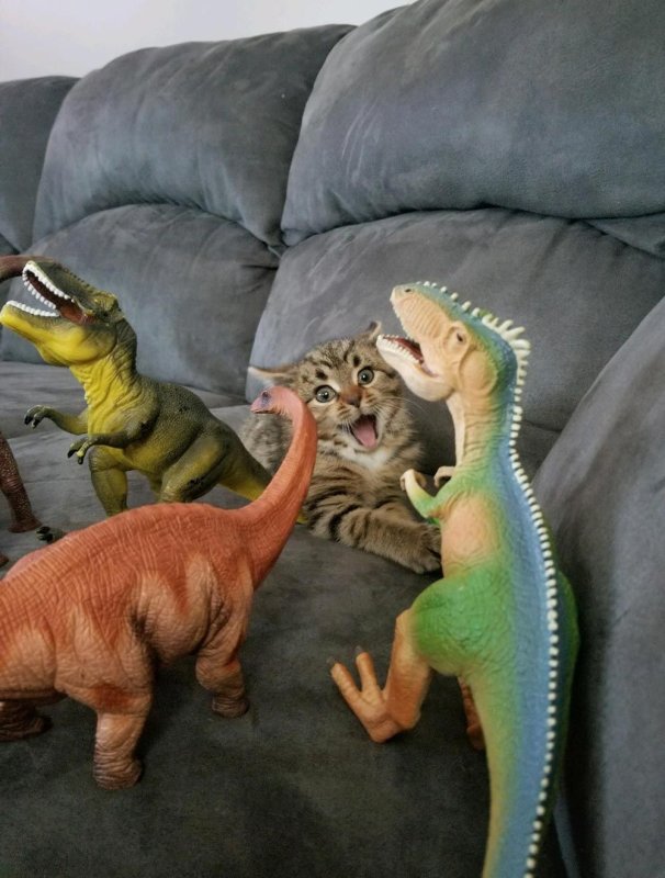 Динозавр прикол