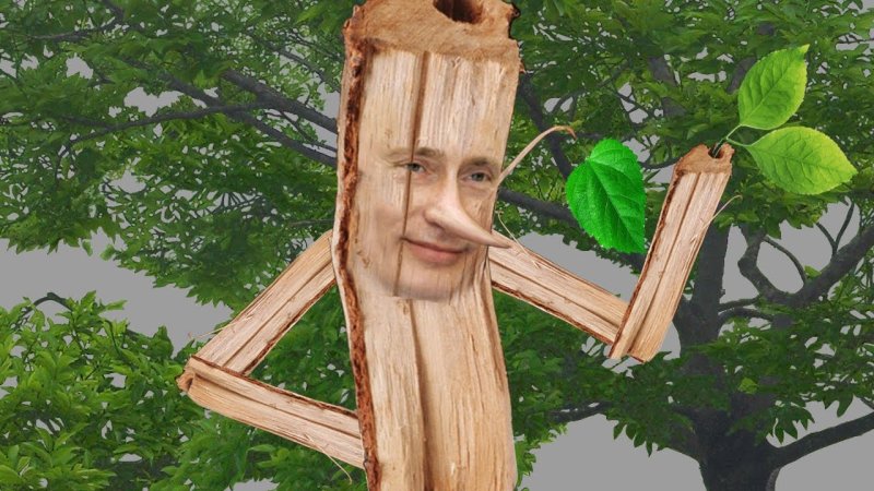 Смешной дуб